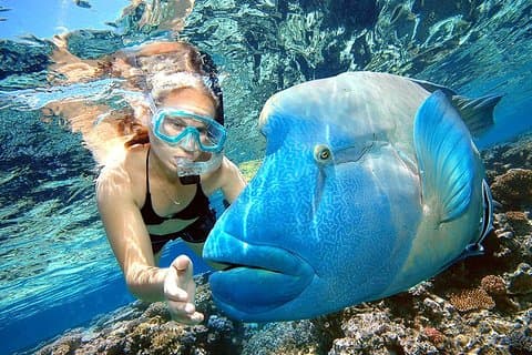 プンタ カナ コンボ ツアー: シュノーケリング、カタマラン クルーズ、パラセーリング