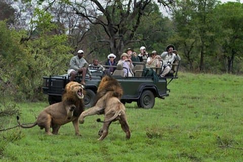 Ciudad del Cabo Sudáfrica, Reserva de caza de 2 días durante la noche Safari Tour