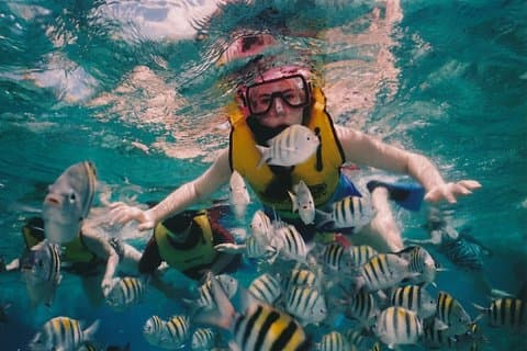 Fulldags snorkling tur til Sharm El Naga fra Hurghada