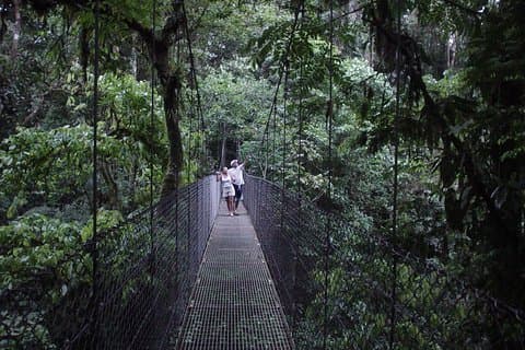 Hiking in Hanging Bridges, Fortuna Waterfall and Arenal Volcano.