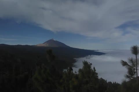 火山テイデ国立公園と島の北部 VIP ツアー