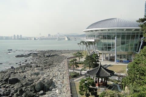 Busan City Tour Inklusive Haedong Yonggungsa Temple og APEC House