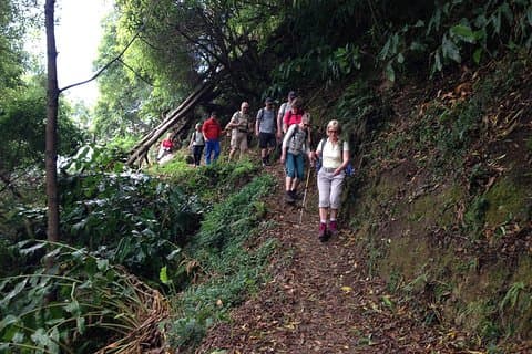 Begleiten Sie uns auf dem Amazing Sanguinho Forest Walk