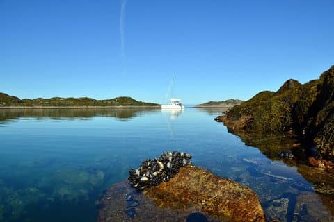 Vela di due giorni per Beautiful Risoy da Tromso