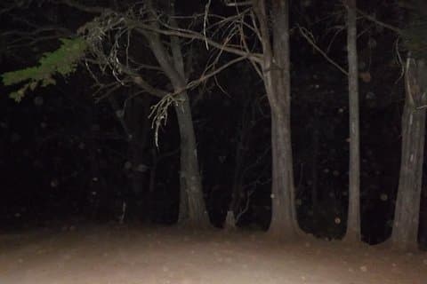 Tour a piedi del percorso Night of Fear