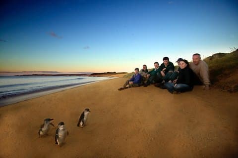 Privat Phillip Island dagstur från Melbourne inklusive Penguin Parade Premium visning