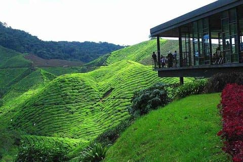 2Days 1Night Cameron Highland og Penang Island Private Tour fra Kuala Lumpur