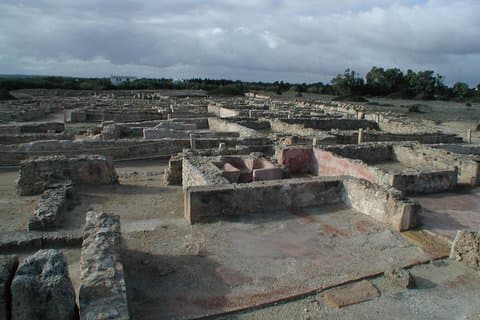 Cap Bon Guided Day Tour from Tunis