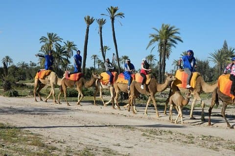 Kameelrit tour in Marrakech
