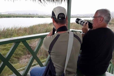 Pantanos de Villa Wildschutzgebiet Tour in Lima