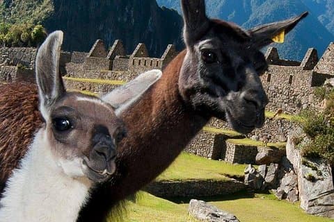 Excursão panorâmica de Cusco a Machu Picchu com trem e guia de dia