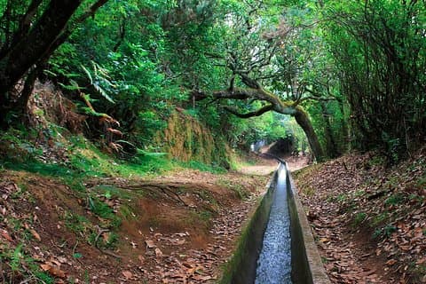 Levada Walk from Ribeiro Frio to Portela