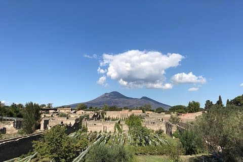 Pompeii Exclusive 2h Private Tour with your Archaeologist