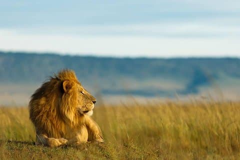 Tarangire Day Private Tour