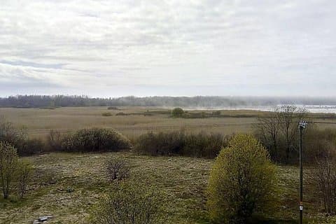 Visita alla zona di protezione speciale di Paljassaare
