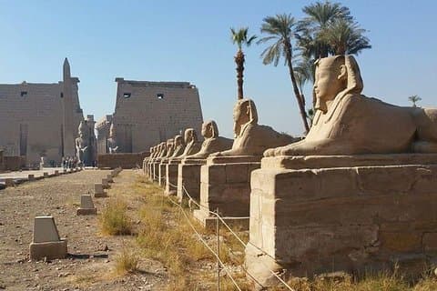 Excursiones de dos días a Luxor y El Cairo desde Marsa Alam.