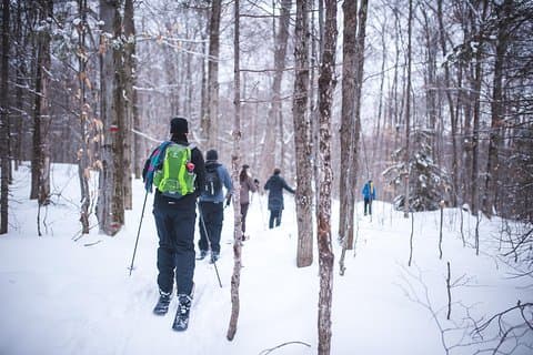 Excursão de esqui (Hok Ski) no Parque Nacional Jacques-Cartier