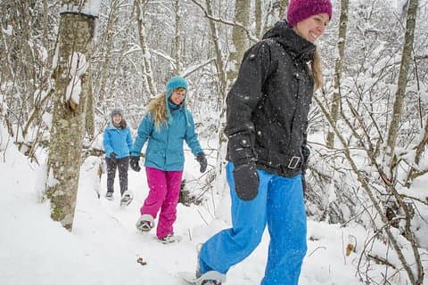 Tour con raquetas de nieve en el Parque Nacional Jacques-Cartier