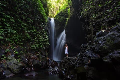 Gitgit och Alingaling Waterfalls Privat grupptur - hel dag