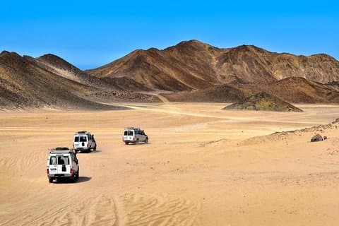 Super Desert Safari (4WD, Quad, Camel Ride, BBQ-diner en drankjes)
