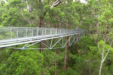 Albany Southwest Wilderness Day Tour - Flyve fra Perth