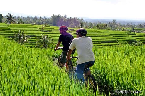 Pedalando para os campos de arroz da vila de Ubud e Tegenungan