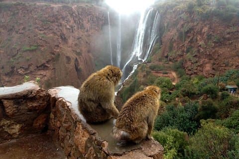 Excursão de um dia em Marrakech às cachoeiras de Ouzoud