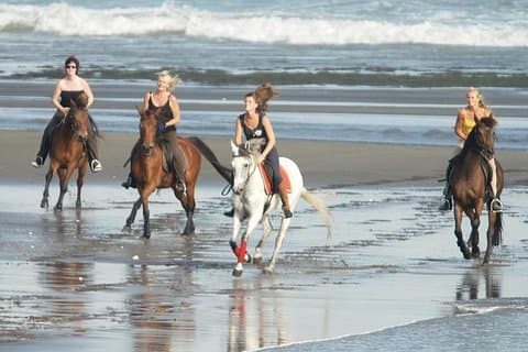 Passeio a cavalo na praia de areia preta e cachoeiras de dois lugares