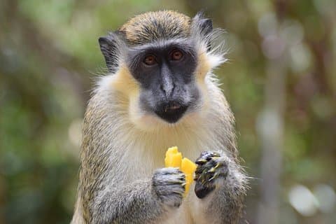 Private Full-Day Barbados Excursion