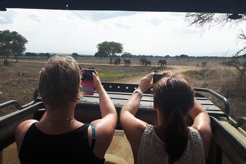 Day trip to Mikumi National Park from Dar es salaam