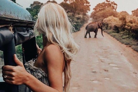 Minneriya National Park Tour vanuit Negombo met Jeepsafari