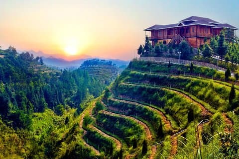 Privat dagstur: Anxi Tea Garden og Hongen Rock fra Xiamen