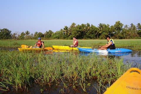 Kayaking on Sal Backwaters - Goa