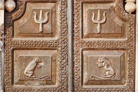 Karni Mata Tempel (ein einzigartiger Rattempel) in der Nähe von Bikaner