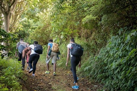 Escursione a piedi nella Blue Mountain Peak da Kingston