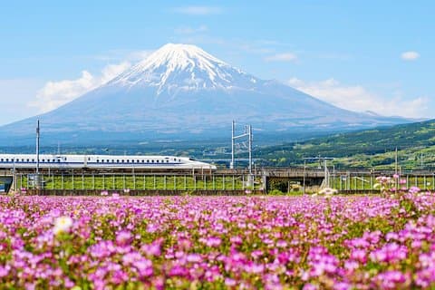 Bullet Train en Mt. Fuji Famous Food Tour