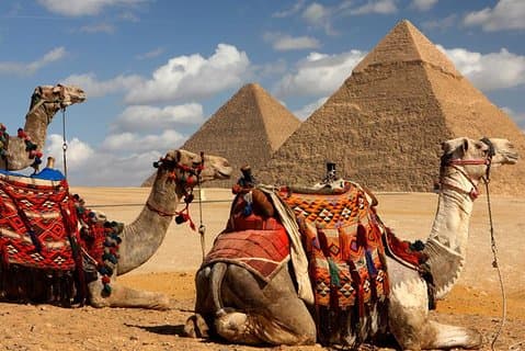 Private Layover tur til Kairo Marker sightseeing fra Kairo flyplass