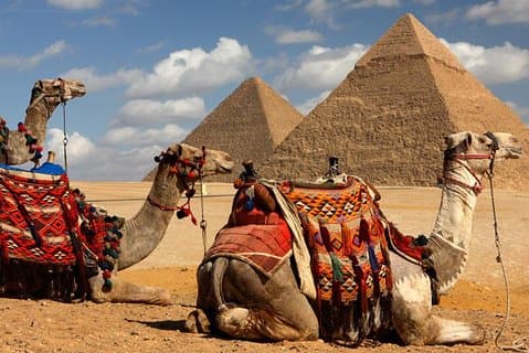 Pirâmides de Gizé, Esfinge, Passeio de Camelo e Grande Museu Egípcio