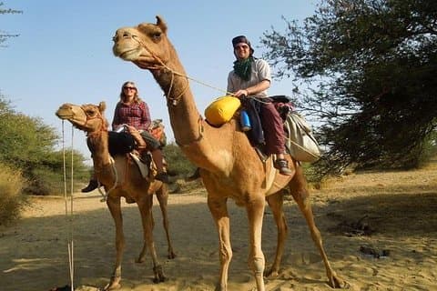 Privé dagtrip met Chandigarh vanuit New Delhi