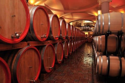 Private wijnrondleiding door Stobi Winery uit Skopje