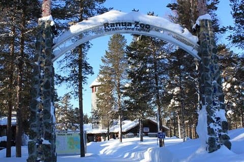 Ranua Zoo Resa från Rovaniemi med lunch