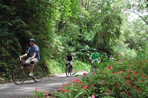 Tour de bicicleta de montanha azul original de Falmouth