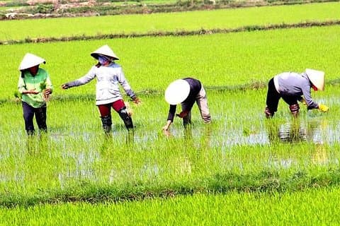 Private - An Authentic Mekong Local Version - Day Tour