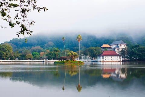 Tour di 4 giorni a Kandy, Nuwara Eliya, Dambulla e Polonnaruwa