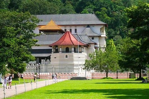 Private Kandy Day Tour from Colombo
