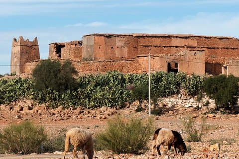 Amazigh versterkte graanschuren