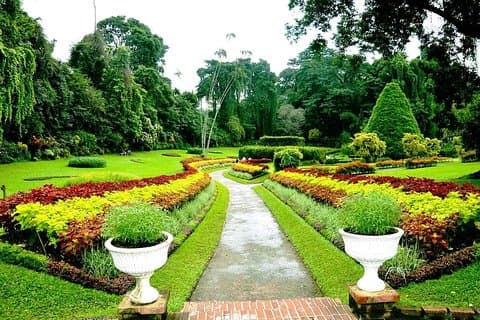 Tour di 4 giorni a Kandy Nuwara Eliya Ella e Udawalawe Safari From Negombo