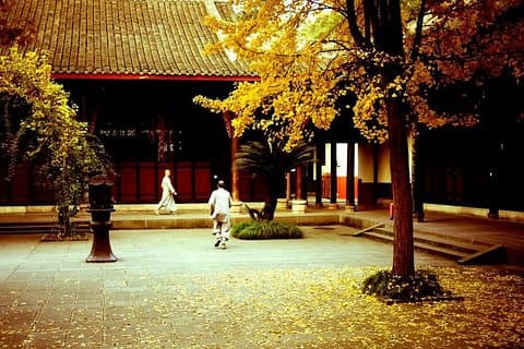 Excursão gastronômica em Chengdu com visita ao mosteiro de Wenshu Yuan