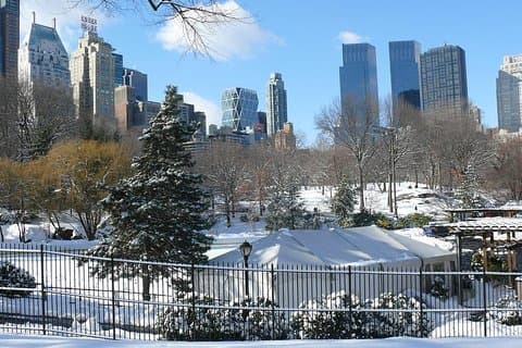 NYC Manhattan Private Custom Christmas Tour mit einem lokalen Guide