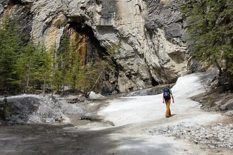 Exploration d'une demi-journée du canyon des Rocheuses canadiennes